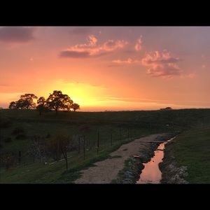 Meet your Posher, Savannah